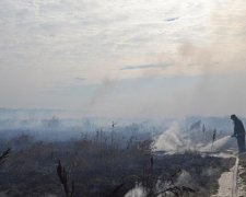 Під Києвом продовжують гасити 14 пожеж на торфовищах