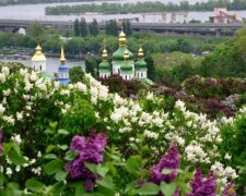 Погода на 7 апреля: синоптики принесли воистину благую весть