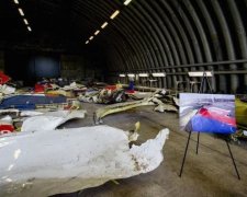 Суд выжал из Нидерландов новые подробности трагедии MH17