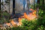 Дніпряни у пастці: рятувальники попередили про найстрашніше