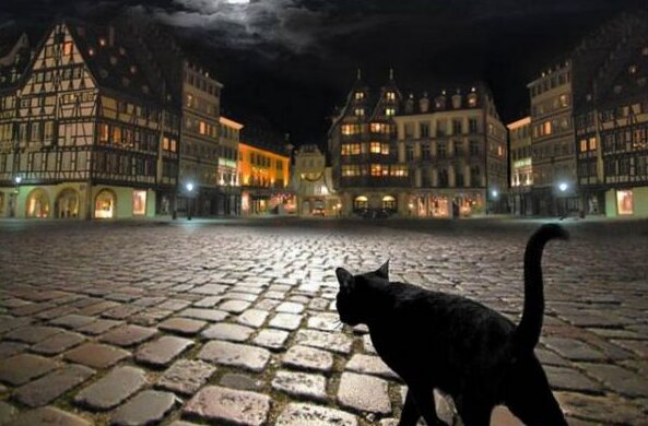 чорний кіт в нічному місті, фото з вільних джерел