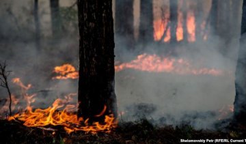  Прикарпатцев предупреждают об угрозе лесных пожаров