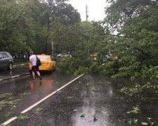 Смертоносний ураган в Москві: кількість постраждалих стрімко зростає