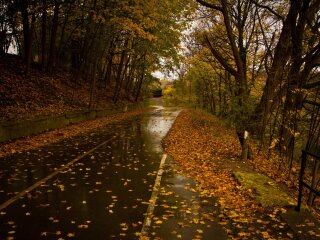 погода в Україні, фото pxhere