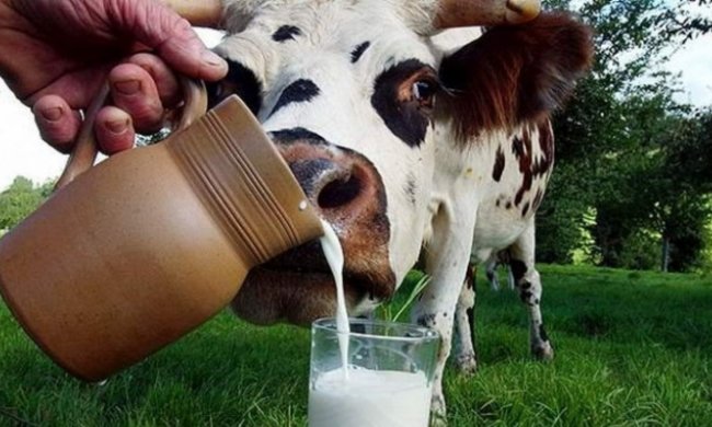 Сьогодні в православ'ї День святого Вукола 19 лютого: що потрібно зробити в цей день