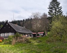 90-річна пенсіонерка перетворила селище на галерею: дивовижні фото