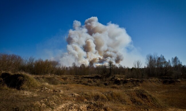Чернобыльский заповедник, фото: facebook.com/zapovidnyk2018