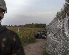 Россиян разворачивают на границе: стали известны цифры