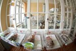 Харківських лікарів звинувачують у найстрашнішому: "задушили" у пологовому