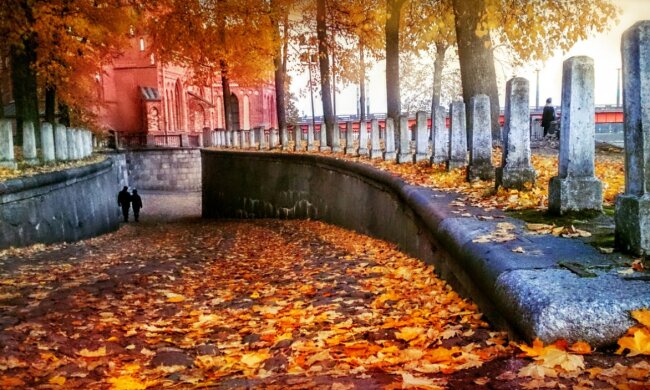 Погода, фото pxhere