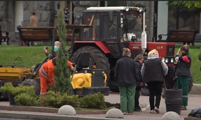 Кличко знищив київські каштани і спустив 800 тисяч на кущі