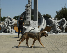 Чернобыль, фото: Getty Images