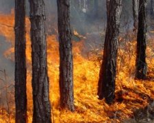 На Київщині оголошено високий рівень пожежної небезпеки
