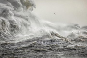 Weather Photographer of the Year 2018 (Євген Самученко)