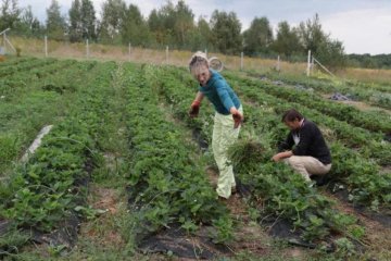 Земельная реформа: как теперь украинцам получить участок
