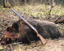 Держлісагентство назвало причини браконьєрства в Україні