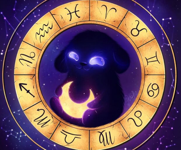 Гороскоп, знаки Зодиака, изображение: boredpanda/Zuzana