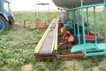 Как украинских заробитчан решили превратить в жителей "Л/ДНР"