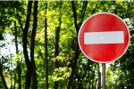 Запрет на посещение леса, фото из открытых источников