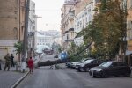 В Киеве огромное дерево раздавило "донецкий" джип (фото)