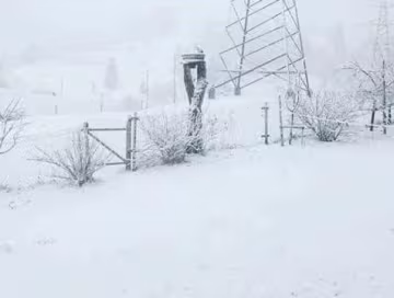 Карпати, фото Юрія Назарова (Фейсбук)