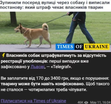 Власників собак почали штрафувати