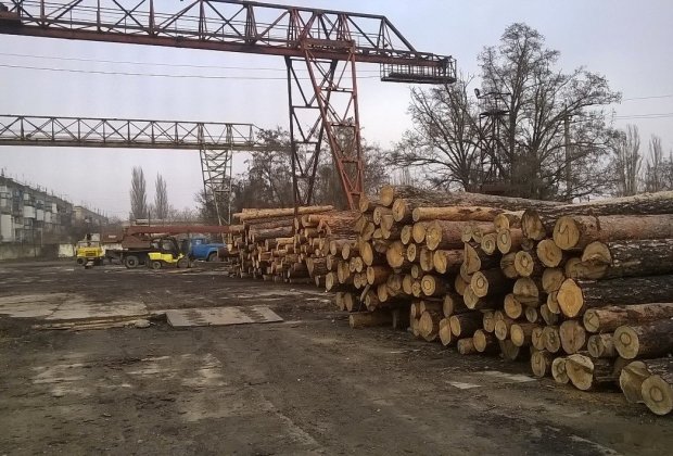 Україна та ЄС вийшли на переговори: скасування заборони на вивезення лісу