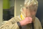 Скріншот з відео