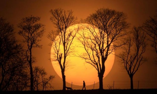 Астрономы спрогнозировали появление второго Солнца