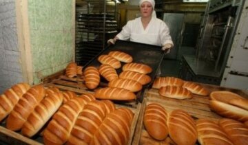 Що буде з цінами на хліб в 2016 році