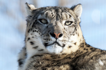 23 октября: какой сегодня праздник