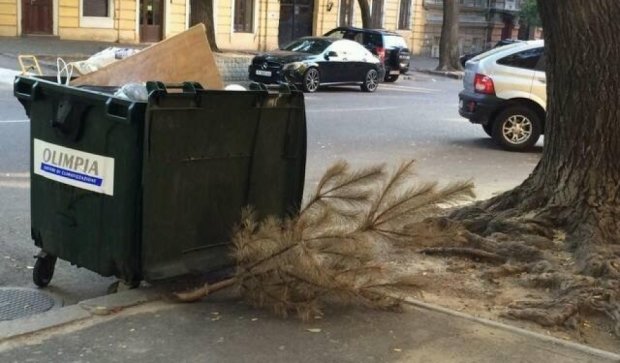 В Одессе зафиксировали новый рекорд по выбрасыванию елки