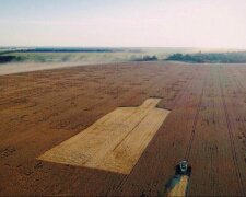 Комбайнери встановили новий Національний рекорд, фото: Баядера