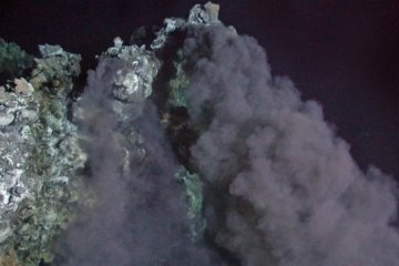Вчені створили "портрет" предка всіх живих істот