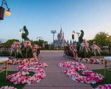 В парке Disney World теперь можно сыграть свадьбу