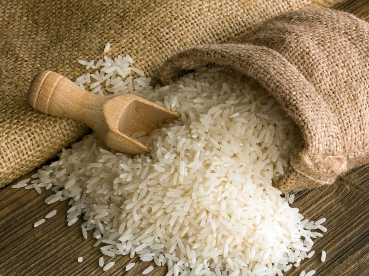 Что лучше впитывает влагу соль или рис