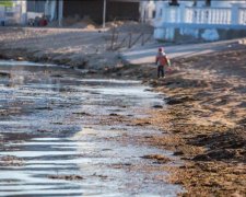 Постапокалиптическая Евпатория: в сети показали удручающую картину