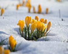 Фотографии, на которых чувствуется приближение весны (фото)