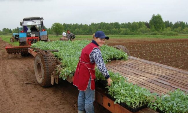 Рівень життя по-українськи: застрягли десь посередині