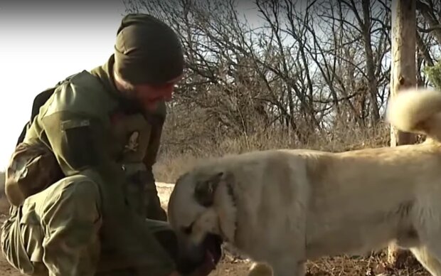Украинский защитник и собака. Фото: скрин youtube