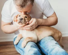 Собака на руках у власника