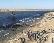 Трупы на пляже: Мелитополь оказался на грани катастрофы