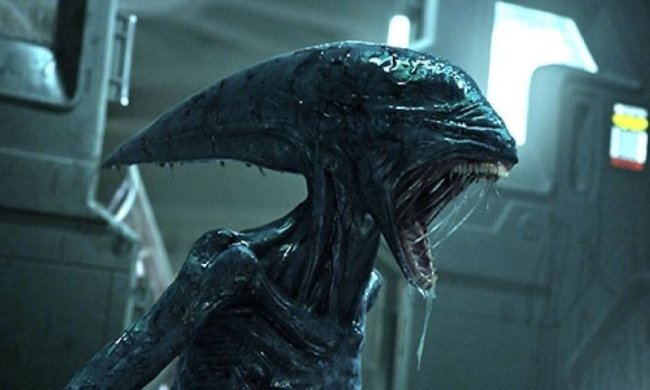 Людству загрожують страшні бактерії з космосу