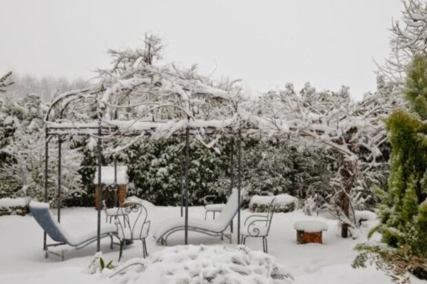 Зимовий сад, фото зі вільних джерел
