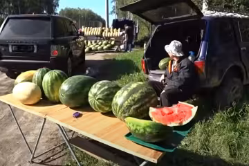 Скрин, видео YouTube арбуз