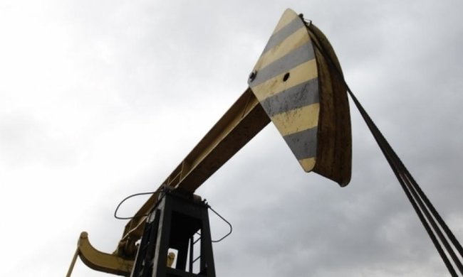 Нефтегазовые участки Украины пустят с молотка