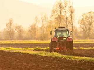 Ринок землі в Україні, фото: lexinform.com.ua