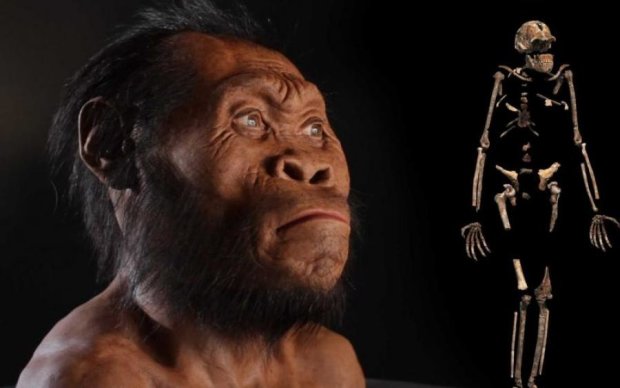 Ученые раскрыли новую тайну предков человека