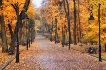Львів, парк, декоративне фото