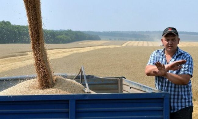 В Україні запрацював ринок землі, але Зеленський радить поки не продавати